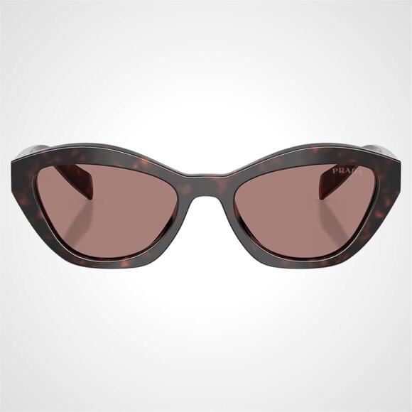 New PRADA Sunglasses Brown Root Tortoise Butterfly Brown Lens main image 4